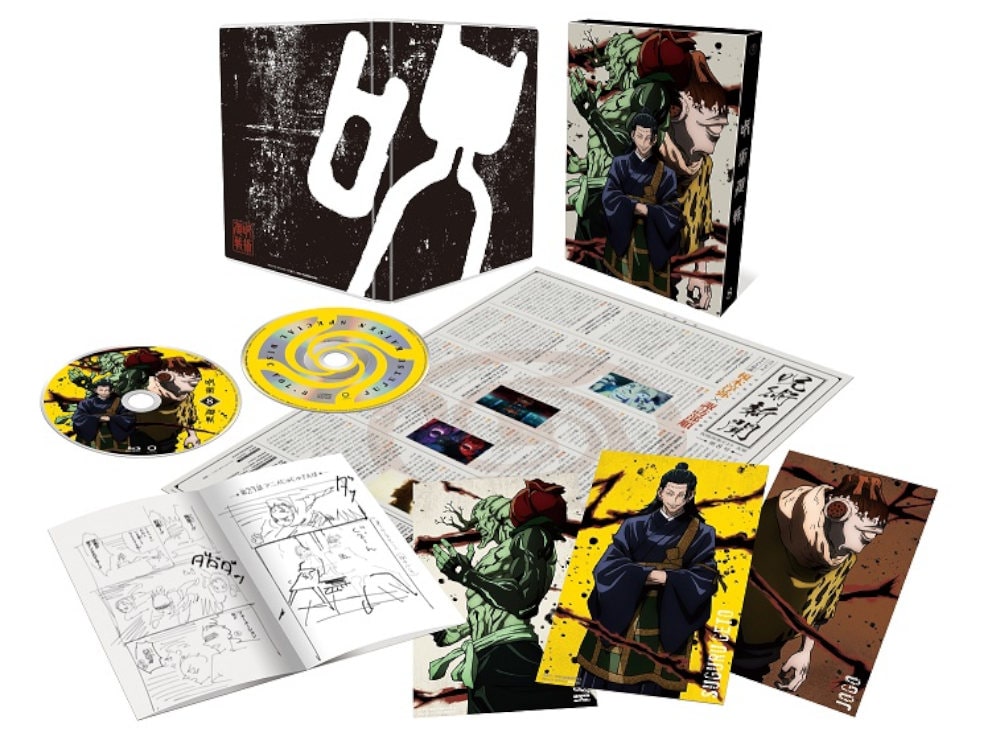 p Vol.8 񐶎Y DVD